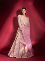 Light Pink Velvet & Silk Lehenga Choli